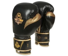BUSHIDO 10oz Bokso pirštinės - Aureos - Valor serija