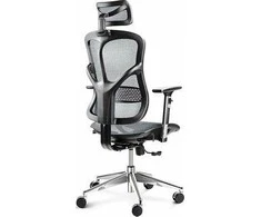 Diablo Chairs Diablo V-Basic Juodas-Pilkas ergonominė kėdė