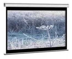 Projektorius Elite Screens Elite Screens Spectrum projektoriaus ekranas 2,16 m (85") 16:10