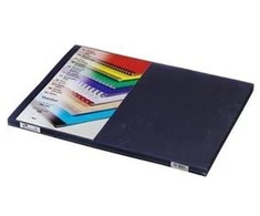 Eurosupplies GBC PRESTIGE folija, A3/100vnt, 200 µm, skaidri
