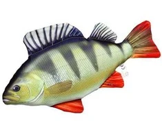 Žaislas EnergoFish Pillow Perch 49cm