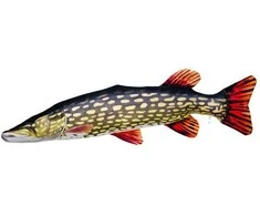 Žaislas EnergoFish Pillow Pike 110cm