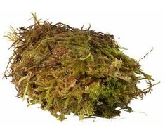 HabiStat Sphagnum Moss 1kg