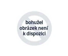 Šildanti pagalvėlė Mesko MS 7429, pilka