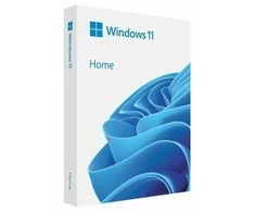 „Microsoft Windows 11 Home“ (HAJ-00105)