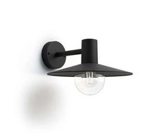 Tvirtinamas šviestuvas Philips Skua 1X42W E27