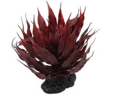 Dekors terārijam : Repti Planet Agave succulent red, 18 cm