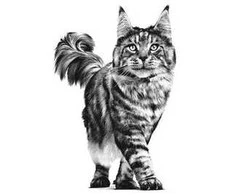 Royal Canin RC VD Cat Hypoallergenic 2,5kg ,sausas kačių pašaras