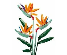 Konstruktorius Sluban gėlė Strelitzia Reginae Aiton, 269 det.
