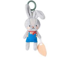 Taf Toys lavinamasis žaislas Rylee the Bunny