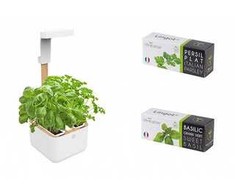 Veritable Véritable Botaneo - Automatyczny doniczka + 2 ziołowe įdėklai