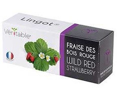 Veritable Lingot Laukinės raudonos braškės