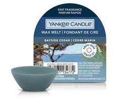 Yankee Candle Bayside Cedar 22 g