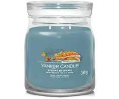 Yankee Candle aromatinė žvakė Signature stiklinė vidutinio dydžio Evening Riverwalk 368 g