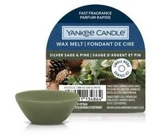 Yankee Candle Sidabrinis Sage &amp; Pine 22 g