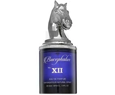Armaf Bucephalus XII EDP parfumuotas vanduo unisex, 100 ml