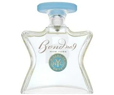 Bond No. 9 Riverside Drive EDP parfumuotas vanduo vyrams, 100 ml