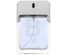 Bugatti Signature Pilkas EDT tualetinis vanduo vyrams, 100 ml