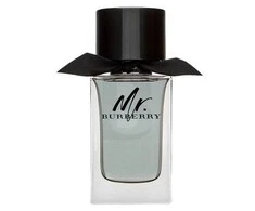 Mr Burberry EDT tualetinis vanduo unisex, 100 ml