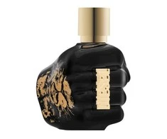 Kvepalai vyrams Diesel Spirit Of The Brave EDT, 50 ml