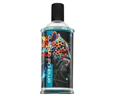 Emanuel Ungaro Intense For Him EDP parfumuotas vanduo vyrams, 100 ml