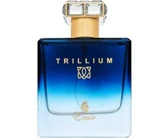 Emir Trillium EDP parfumuotas vanduo vyrams, 100 ml