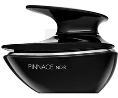 French Avenue Pinnace Noir EDP parfumuotas vanduo vyrams, 100 ml