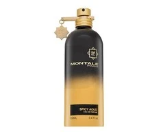 Montale Paris Montale Spicy Aoud EDP parfumuotas vanduo unisex, 100 ml