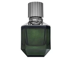 Roberto Cavalli Paradise Found EDT tualetinis vanduo vyrams, 50 ml