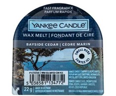 Yankee Candle Bayside Cedar 22 g