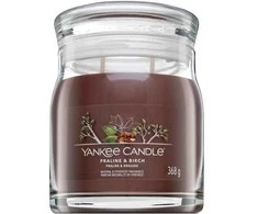 Yankee Candle Aromatinė žvakė Signature glass medium Praline - Beržas 368 g