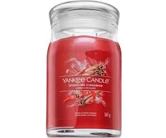 Yankee Candle Putojantis cinamonas 567 g