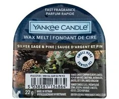 Yankee Candle Sidabrinis Sage &amp; Pine 22 g