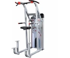 Prisitraukimu ir lygiagrečių treniruoklis Body Solid S2ACD