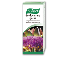 A. VOGEL Vogel Boldocynara 100ml