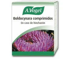 A. VOGEL Vogel Boldocynara 60 vnt