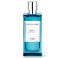 Angel Schlesser Les Eaux D'Un Instant aromatinis šalavijas EDT 150 ml unisex