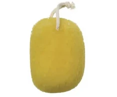 Beter jūros kempinės imitacija