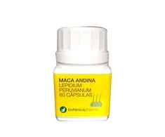 Botánicapharma Andų Maca 500mg 60 kapsulių