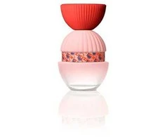 El Ganso Fun y Chic EDP 100 Purškiklis