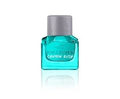 Hollister Canyon Rush tualetinio vandens purškiklis 30ml