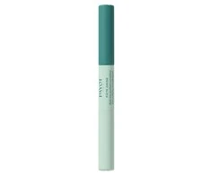 Payot Pâte Grise Duo Purifying Corrector Pen 2x, 3 ml