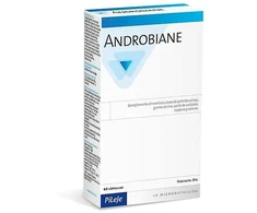 Pileje Androbiane Protect 60 vnt