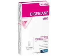 Pileje Digebiane sBO maisto papildas virškinimui 20 tabletės