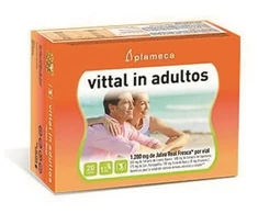 Plameca Vittal In Adultos Renovado 20 Viales