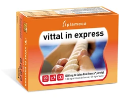 Plameca Vittal In Express