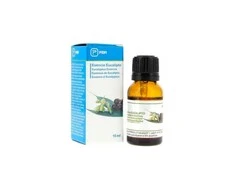 "Prim Essences Eucalyptus" eterinis aliejus 1vnt