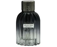 Puccini Dragon EDT tualetinis vanduo vyrams, 100 ml