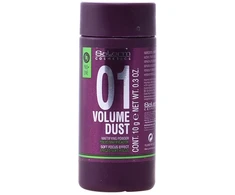 "Salerm Cosmetics 01 Volume Dust Matifying Powder plaukus modeliuojantys milteliai 10g