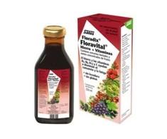 Maisto papildas Salus Floradix Floravital 250ml